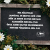 23.05